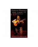 DVD Guitarra Flamenca Paso A Paso: Técnica Básica I