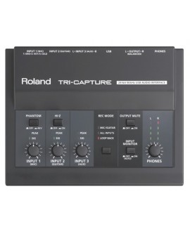 Interfaz Audio Roland UA-33 Tri-Capture