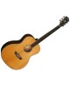 Guitarra Acústica Washburn WG-26S